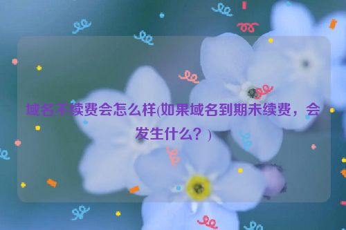 域名不续费会怎么样(如果域名到期未续费，会发生什么？)