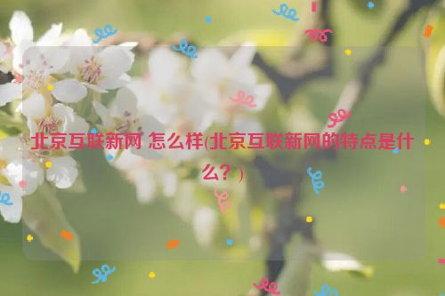 北京互联新网 怎么样(北京互联新网的特点是什么？)