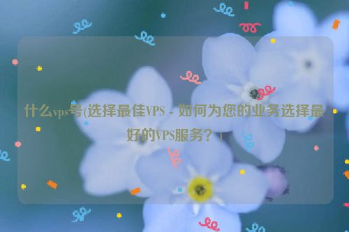 什么vps号(选择最佳VPS - 如何为您的业务选择最好的VPS服务？)