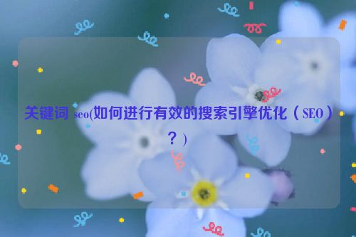 关键词 seo(如何进行有效的搜索引擎优化（SEO）？)