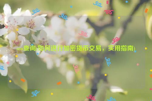 seo查询(如何进行加密货币交易，实用指南)