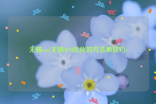 无锡seo(无锡SEO优化的方法和技巧)