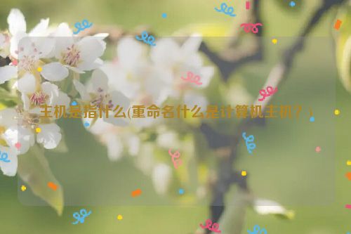 主机是指什么(重命名什么是计算机主机？)