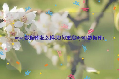 mysql数据库怎么样(如何重启MySQL数据库)