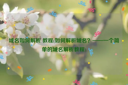 域名如何解析 教程(如何解析域名？——一个简单的域名解析教程)