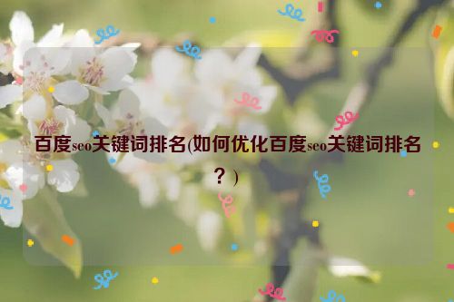 百度seo关键词排名(如何优化百度seo关键词排名？)