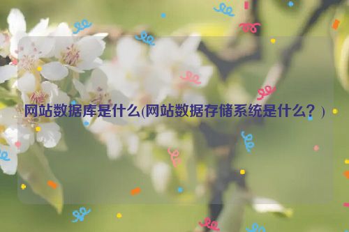 网站数据库是什么(网站数据存储系统是什么？)