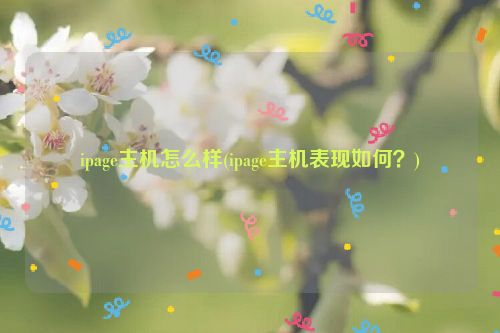 ipage主机怎么样(ipage主机表现如何？)