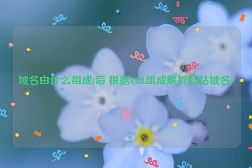 域名由什么组成(后 根据URL组成解析网站域名)