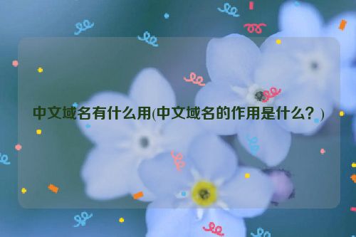 中文域名有什么用(中文域名的作用是什么？)