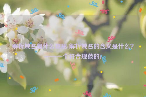 解析域名是什么意思(解析域名的含义是什么？——一个符合规范的)