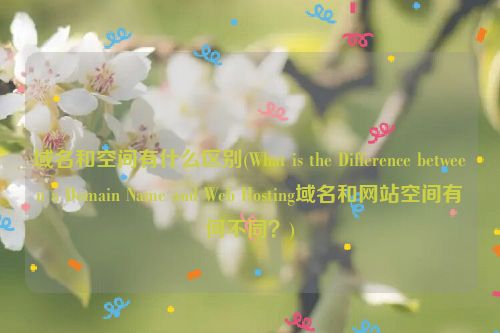 域名和空间有什么区别(What is the Difference between a Domain Name and Web Hosting域名和网站空间有何不同？)