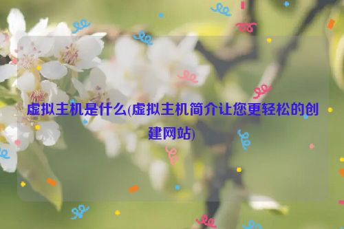 虚拟主机是什么(虚拟主机简介让您更轻松的创建网站)