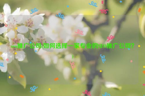 seo推广公司(如何选择一家专业的SEO推广公司？)