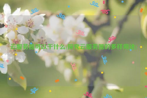 云服务器可以干什么(探究云服务器的多样用途)