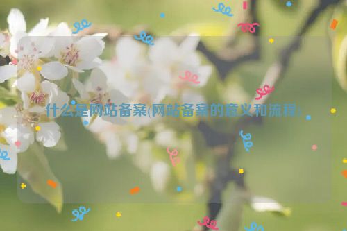 什么是网站备案(网站备案的意义和流程)