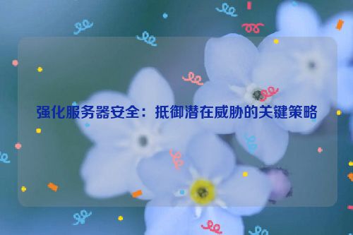 强化服务器安全：抵御潜在威胁的关键策略