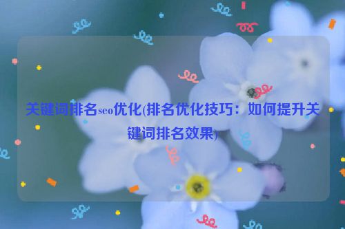 关键词排名seo优化(排名优化技巧：如何提升关键词排名效果)