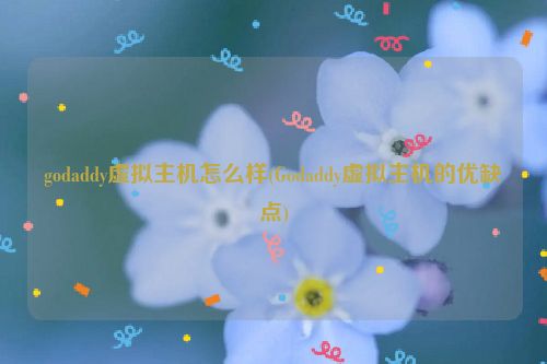 godaddy虚拟主机怎么样(Godaddy虚拟主机的优缺点)