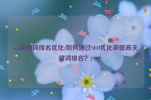 seo关键词排名优化(如何通过SEO优化来提高关键词排名？)