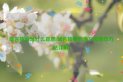 域名转出是什么意思(域名转移的含义和操作方法详解)