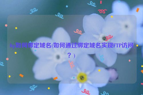 ftp如何绑定域名(如何通过绑定域名实现FTP访问？)