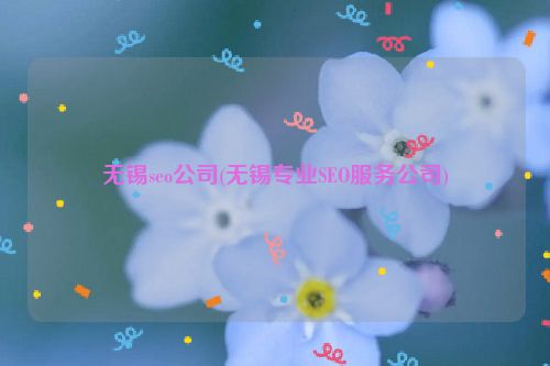 无锡seo公司(无锡专业SEO服务公司)