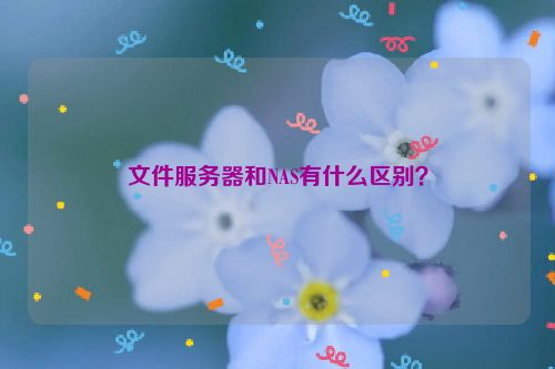 文件服务器和NAS有什么区别？