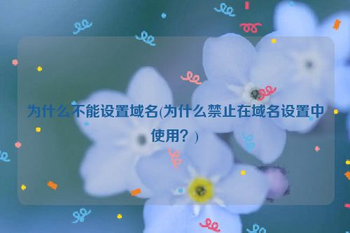 为什么不能设置域名(为什么禁止在域名设置中使用？)