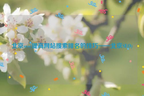 北京seo(提高网站搜索排名的技巧——北京SEO)