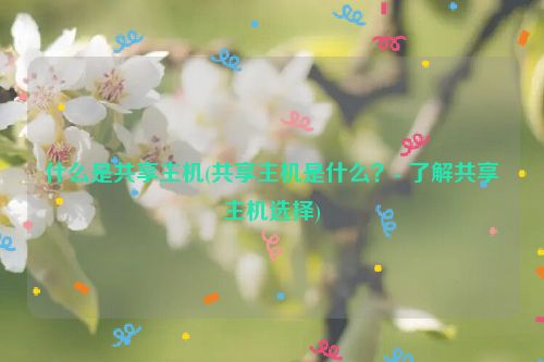 什么是共享主机(共享主机是什么？- 了解共享主机选择)