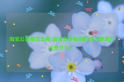 淘宝云客服怎么样(淘宝云客服的特点与使用方法是什么？)