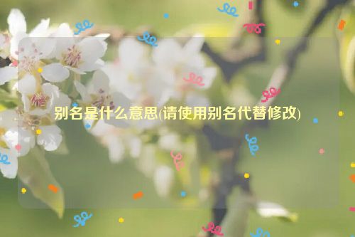 别名是什么意思(请使用别名代替修改)