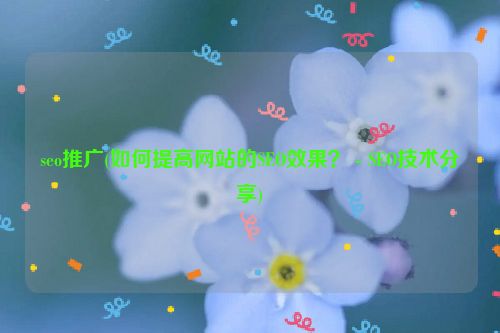 seo推广(如何提高网站的SEO效果？ - SEO技术分享)