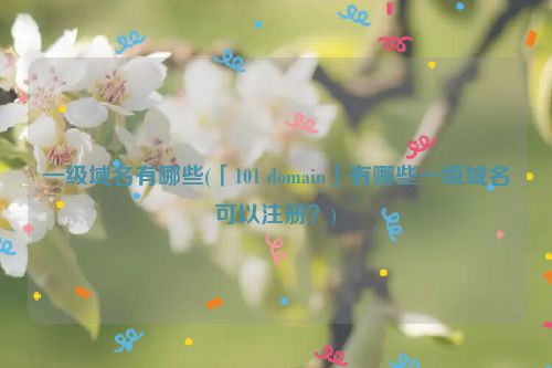 一级域名有哪些(「101 domain」有哪些一级域名可以注册？)