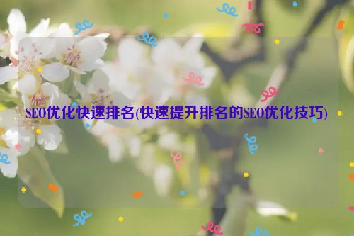 SEO优化快速排名(快速提升排名的SEO优化技巧)