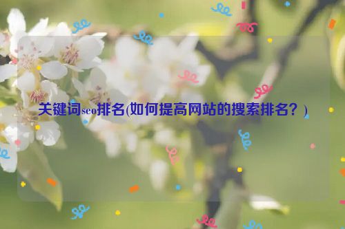 关键词seo排名(如何提高网站的搜索排名？)