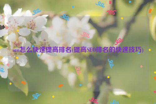 seo怎么快速提高排名(提高SEO排名的快速技巧)