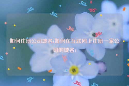 如何注册公司域名(如何在互联网上注册一家公司的域名)