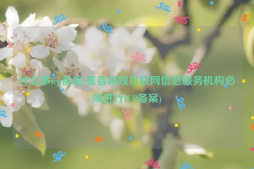 什么事icp备案(重备案规互联网信息服务机构必须进行ICP备案)