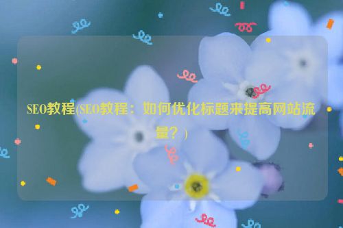 SEO教程(SEO教程：如何优化标题来提高网站流量？)