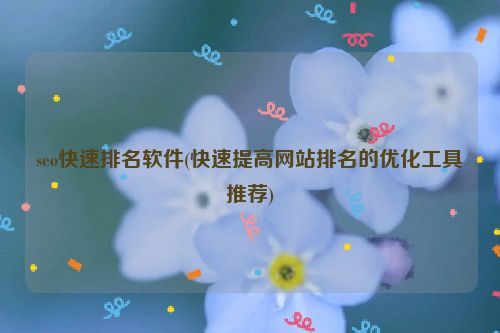 seo快速排名软件(快速提高网站排名的优化工具推荐)