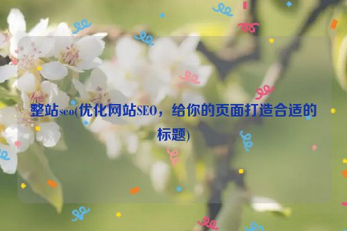 整站seo(优化网站SEO，给你的页面打造合适的标题)