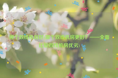 哪个双线机房好(哪个双线机房更好？——全面比较双线机房优劣)